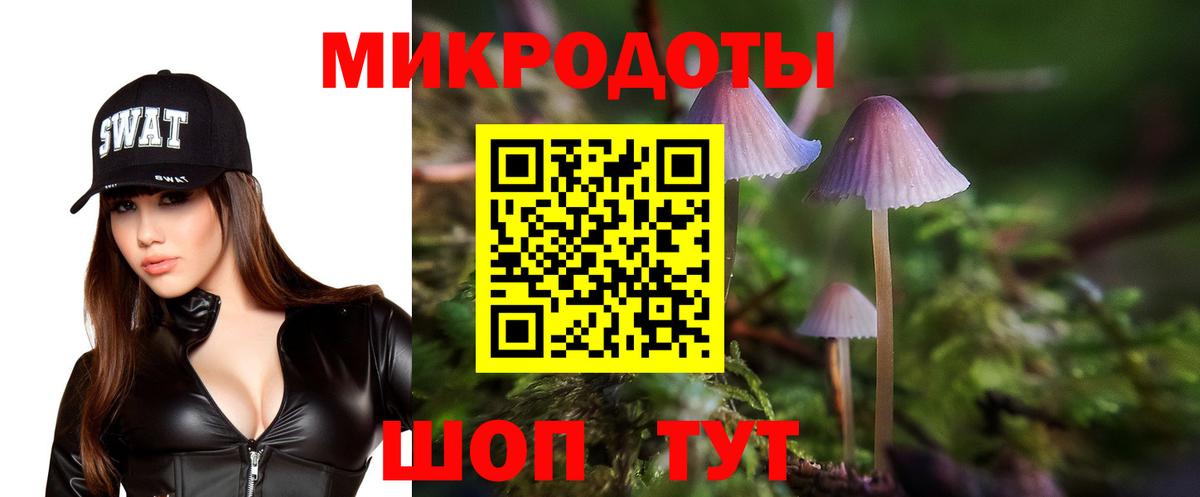 Псилоцибиновые грибы Cubensis Мытищи